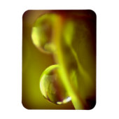 Premium-Magnet für Wassertropfen Magnet (Vertikal)