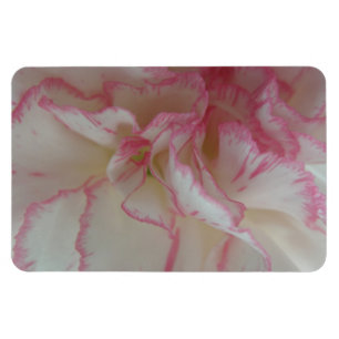 Premium-Magnet für weiße und rosa Narben Magnet