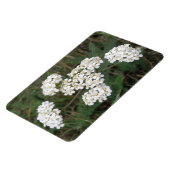 Premium-Magnet für weiße Wildblumen Magnet (Linke Seite)