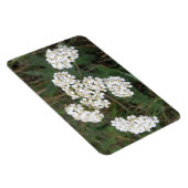 Premium-Magnet für weiße Wildblumen Magnet (Rechte Seite)