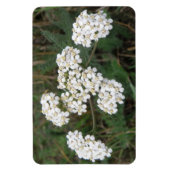 Premium-Magnet für weiße Wildblumen Magnet (Vertikal)