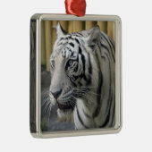 Premium-Ornament White Tiger Silbernes Ornament (Rechts)