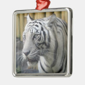 Premium-Ornament White Tiger Silbernes Ornament (Links)