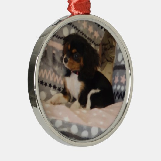 Premium Round Ornament (Rechts)