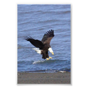 Premium Satin Foto Paper Foto Erweiterung