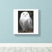 Premium Wrapped Canvas (Glanz) Leinwanddruck (Insitu (Holzboden))