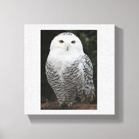 Premium Wrapped Canvas (Glanz) Leinwanddruck (Vorderseite)