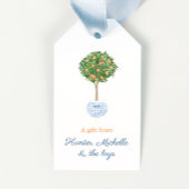 Preppy Citrus Orange Sky Blue Topiary Tree Hostess Geschenkanhänger