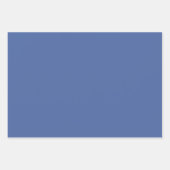 Preppy Coquette Bow Dusty Blue Line Gezeichnet Wra Geschenkpapier Set (Vorderseite 3)