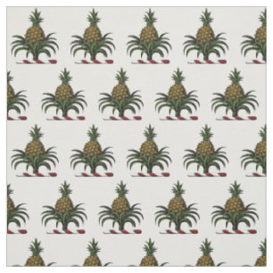 Preppy Heraldische Ananas-Wappenfarbe WT Stoff