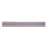 Preppy Orange und Blue Striping Satinband (Vorderseite)