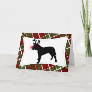 Presa Canario Ren-Weihnachtskarte Feiertagskarte