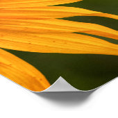 Prescott für Seitenblicke Poster (Ecke)