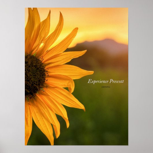 Prescott für Seitenblicke Poster (Vorne)