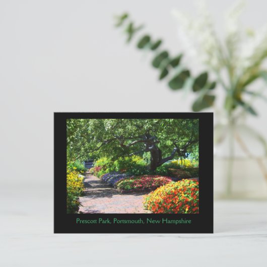 Prescott Park Gardens, Portsmouth, NH Postcard Postkarte (Stehend Vorderseite)