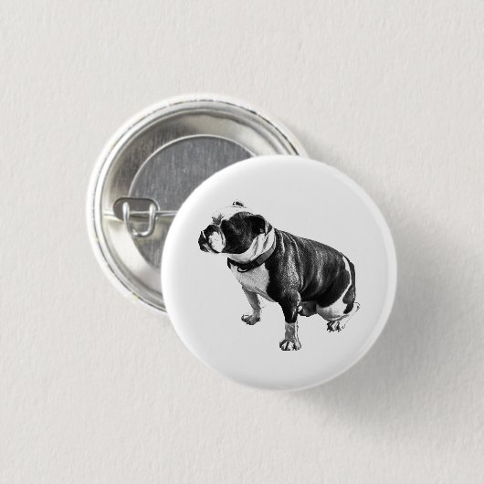 Present and Patient Button (Vorne & Hinten)