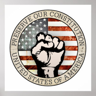 Preserve Our Constitution Poster