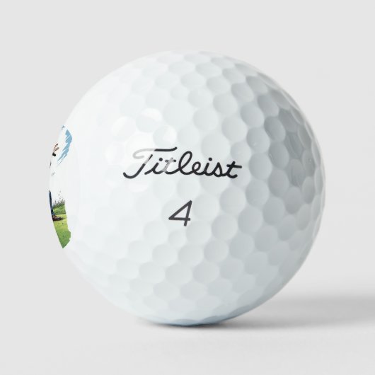 President Trump Golfball (Logo)
