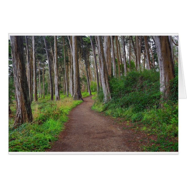 Presidio, SF (Vorderseite (Horizontal))