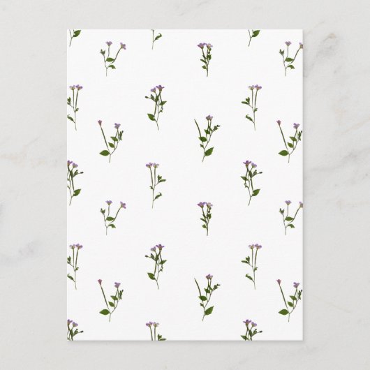 PRESSED FLOWERS - Chickweed Willowherb - Open Postkarte (Vorderseite)