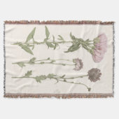 Prestige Blüten - Rosa Decke (Vorderseite)