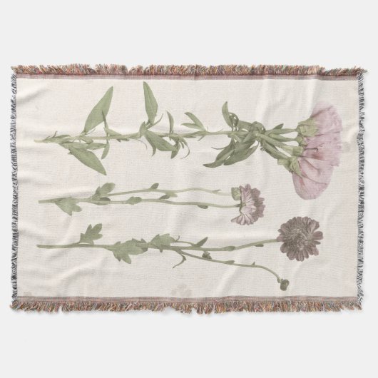 Prestige Blüten - Rosa Decke (Vorderseite)