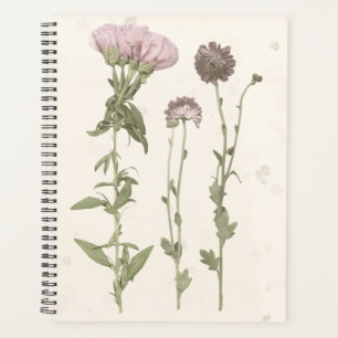 Prestige Blüten - Rosa Planer