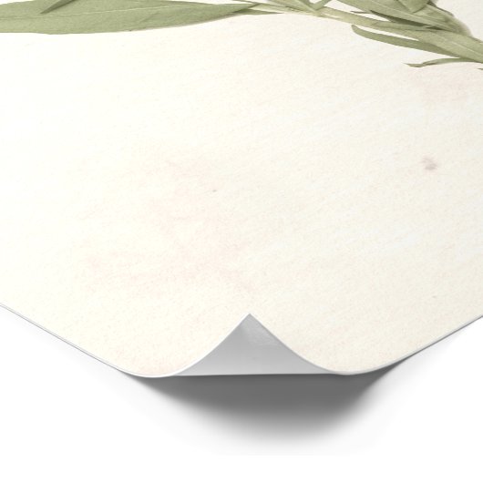 Prestige Blüten - Rosa Poster (Ecke)