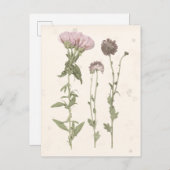 Prestige Blüten - Rosa Postkarte (Vorne/Hinten)