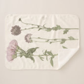 Prestige Blüten - Rosa Sherpadecke (Vorderseite (Horizontal))