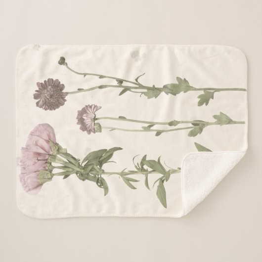 Prestige Blüten - Rosa Sherpadecke (Vorderseite (Horizontal))