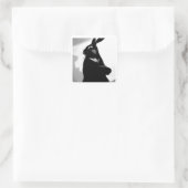 Prestigekaninchen Quadratischer Aufkleber (Tasche)