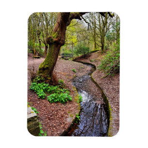 Prestwich Clough Magnet
