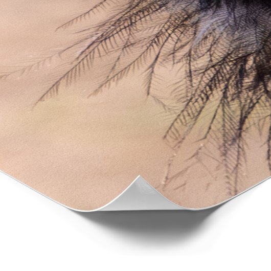 Pretty Bird Poster (Ecke)