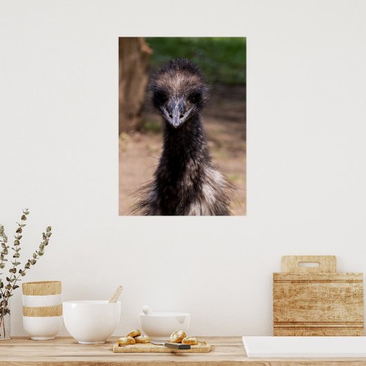 Pretty Bird Poster (Küche)