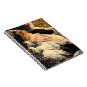 Pretty  Chickens Notebook Notizblock (Rechte Seite)