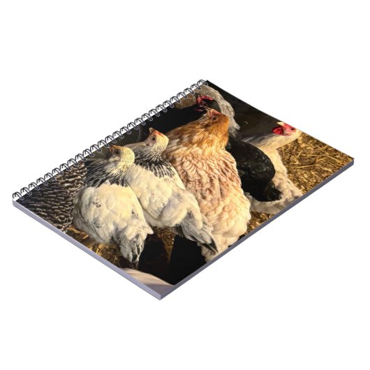 Pretty  Chickens Notebook Notizblock (Linke Seite)