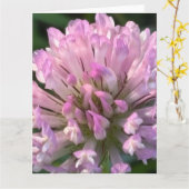 Pretty Clover Flower  Karte (Gelbe Blume)