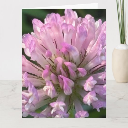 Pretty Clover Flower  Karte (Vorderseite)