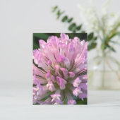 Pretty Clover Flower  Postkarte (Stehend Vorderseite)