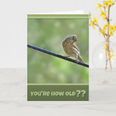 Pretty Cute for An Old Bird Birthday Card Karte (Gelbe Blume)
