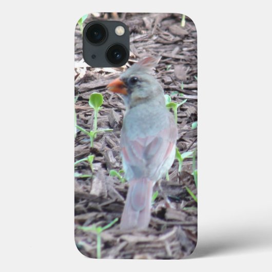 Pretty Female Cardinal Cell Phone Case (Rückseite)