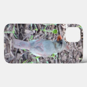 Pretty Female Cardinal Cell Phone Case (Rückseite (Horizontal))