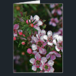 Pretty in pink<br><div class="desc">pretty cascade of pink flowers and foliage</div>