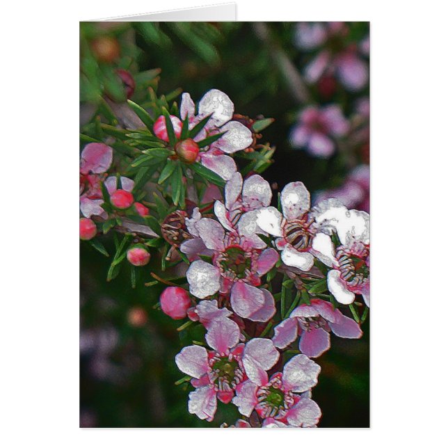 Pretty in pink (Vorne)