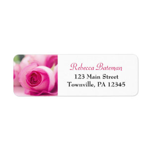 Pretty in Pink Roses