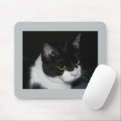 Pretty Kitty Mousepad (Mit Mouse)