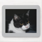 Pretty Kitty Mousepad (Vorne)