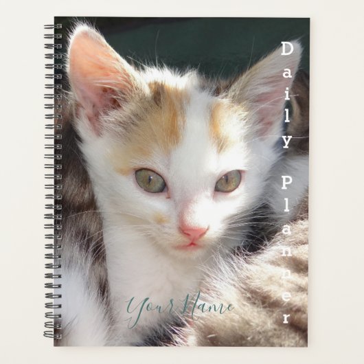 Pretty Kitty - Täglicher Planer- HAMbWG Planer (Vorderseite)