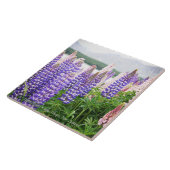 Pretty Lupins @ Lake Tekapo New Zealand Fliese (Seite)